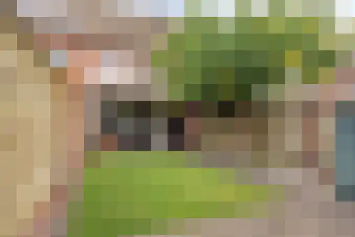 Heiveld 16 Vorstenbosch thumbnail 32