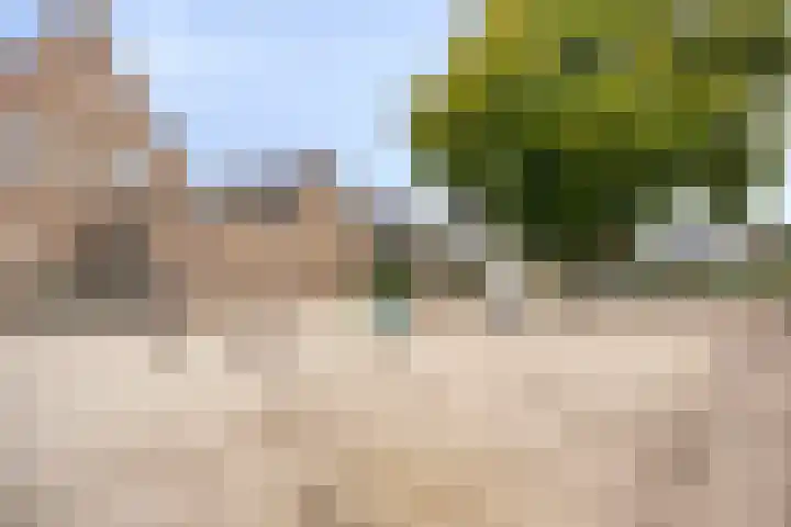 Heiveld 16 Vorstenbosch thumbnail 33