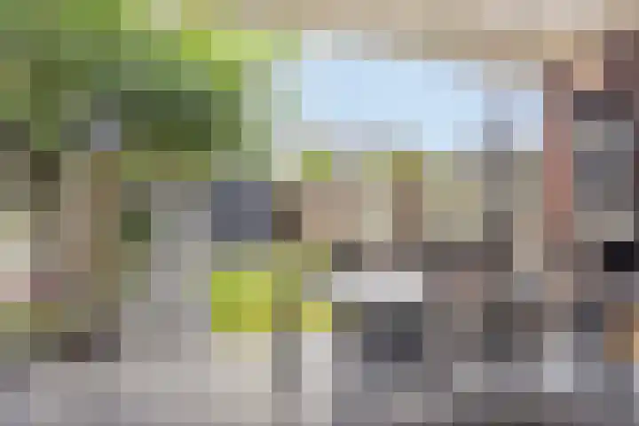 Heiveld 16 Vorstenbosch thumbnail 4