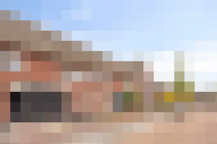 Heiveld 16 Vorstenbosch thumbnail 5