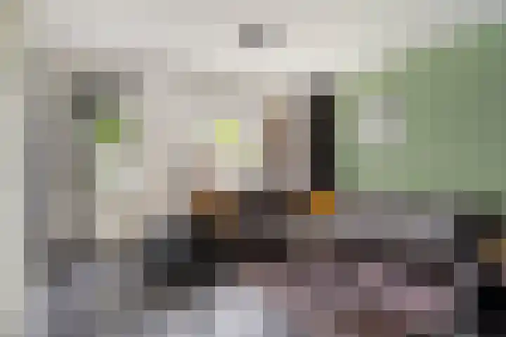 Heiveld 16 Vorstenbosch thumbnail 9