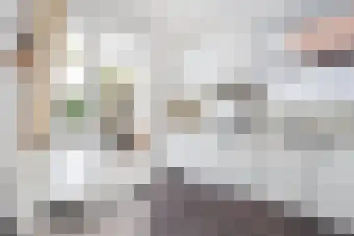 Heiveldstraat 15 Elsloo thumbnail 17