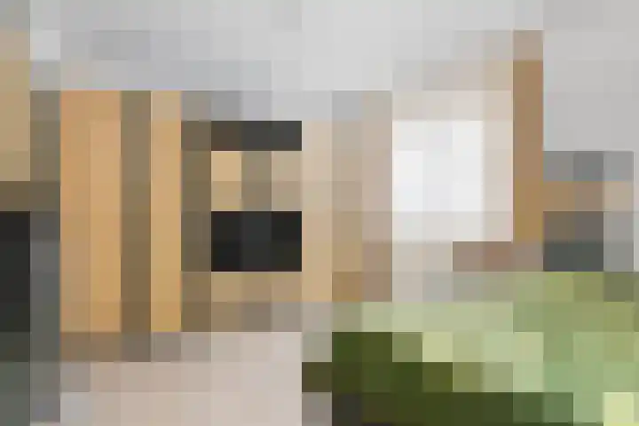Heiveldstraat 15 Elsloo thumbnail 21