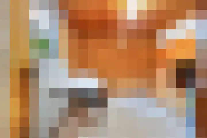 Heiveldstraat 15 Elsloo thumbnail 26