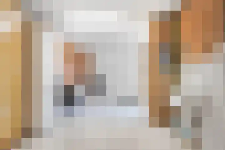 Heiveldstraat 15 Elsloo thumbnail 27