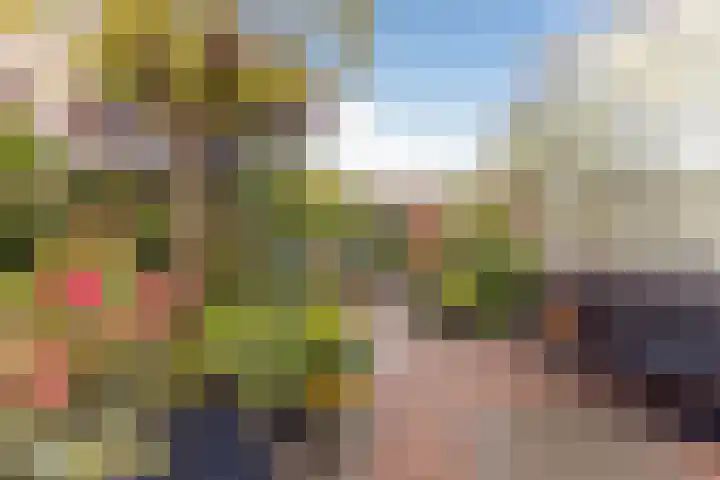 Heiveldstraat 15 Elsloo thumbnail 29