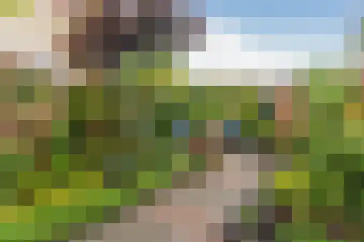 Heiveldstraat 15 Elsloo thumbnail 30