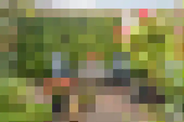 Heiveldstraat 15 Elsloo thumbnail 31