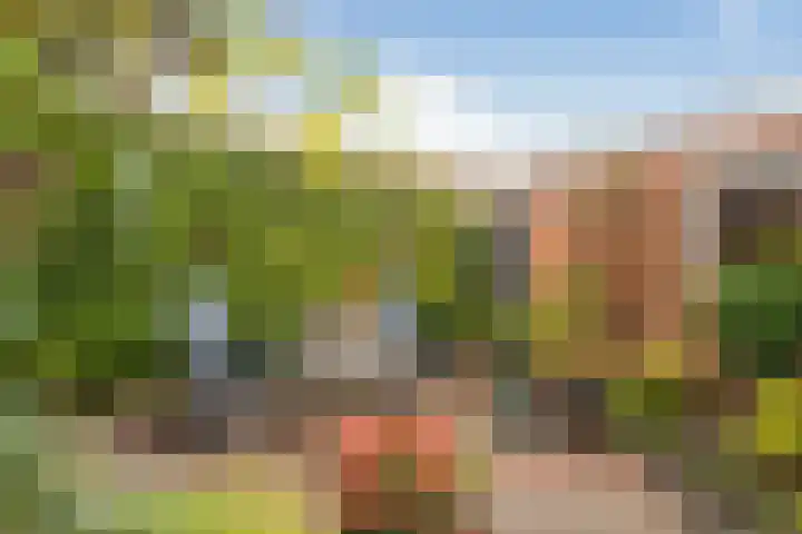 Heiveldstraat 15 Elsloo thumbnail 32