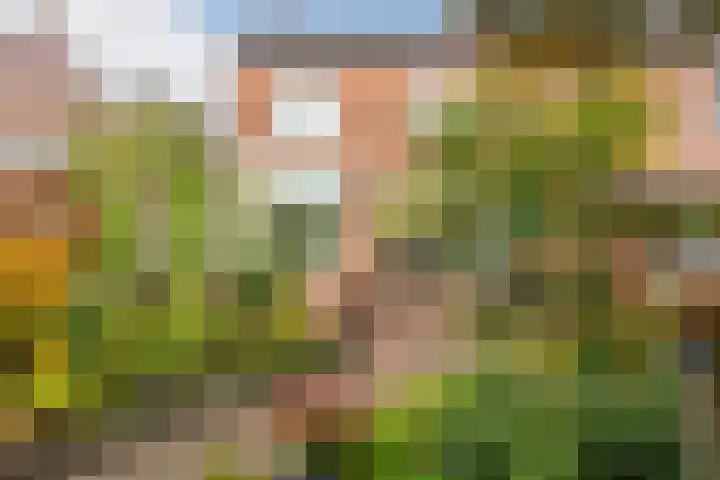 Heiveldstraat 15 Elsloo thumbnail 33