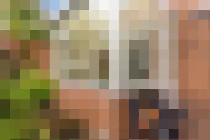 Heiveldstraat 15 Elsloo thumbnail 37