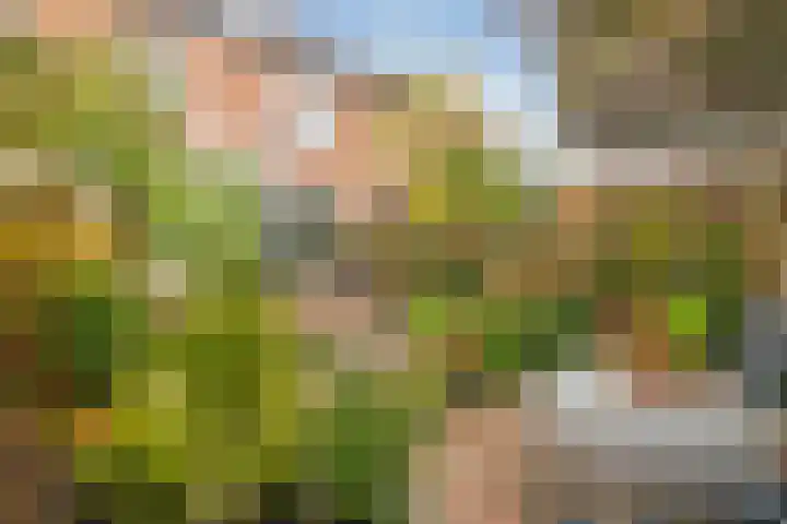 Heiveldstraat 15 Elsloo thumbnail 4