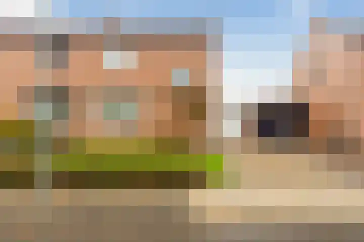 Heiveldstraat 15 Elsloo thumbnail 6