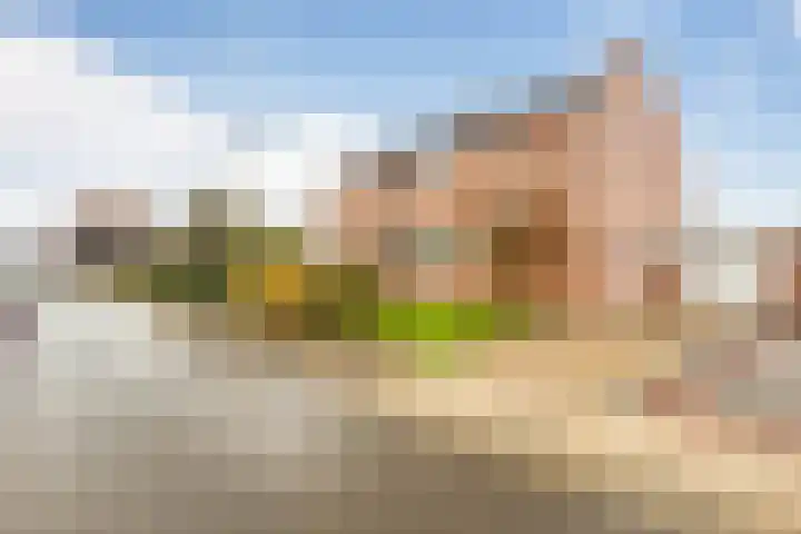 Heiveldstraat 15 Elsloo thumbnail 7