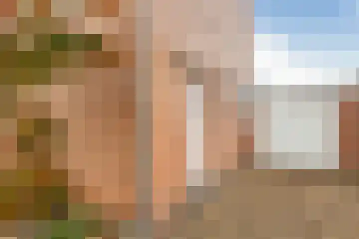 Heiveldstraat 15 Elsloo thumbnail 8