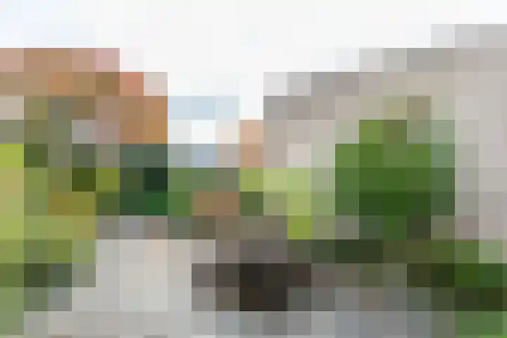 Heiveldstraat 43 Kerkrade thumbnail 24