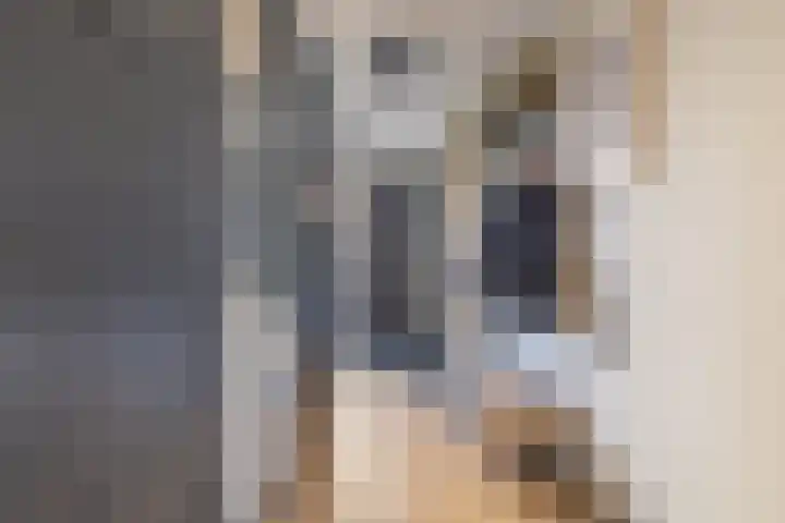 Heivlinder 2 Middelburg thumbnail 10