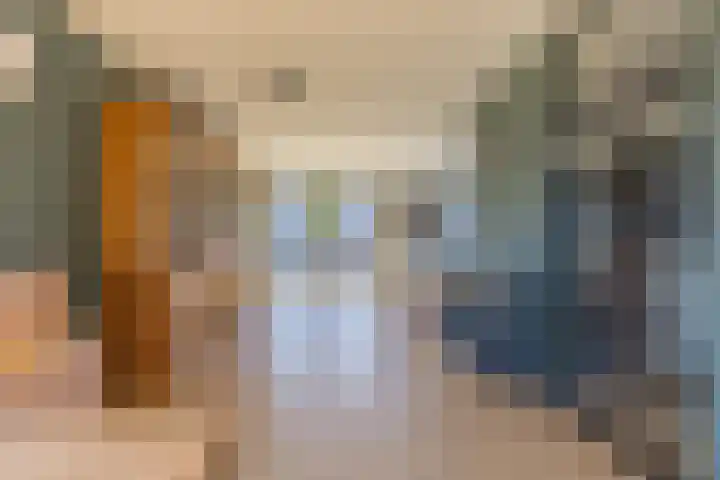 Heivlinder 2 Middelburg thumbnail 12