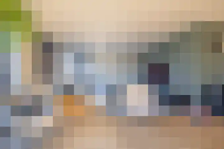 Heivlinder 2 Middelburg thumbnail 13