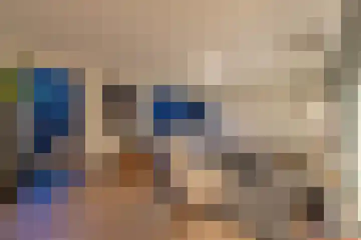 Heivlinder 2 Middelburg thumbnail 14