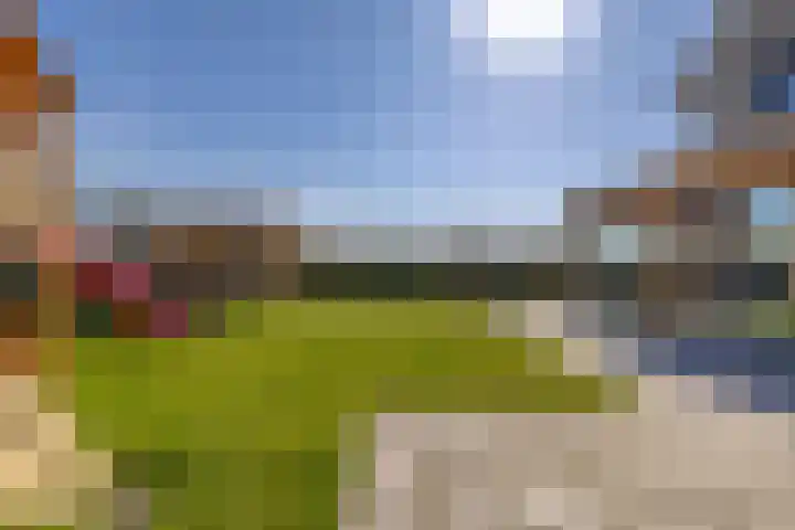Heivlinder 2 Middelburg thumbnail 31