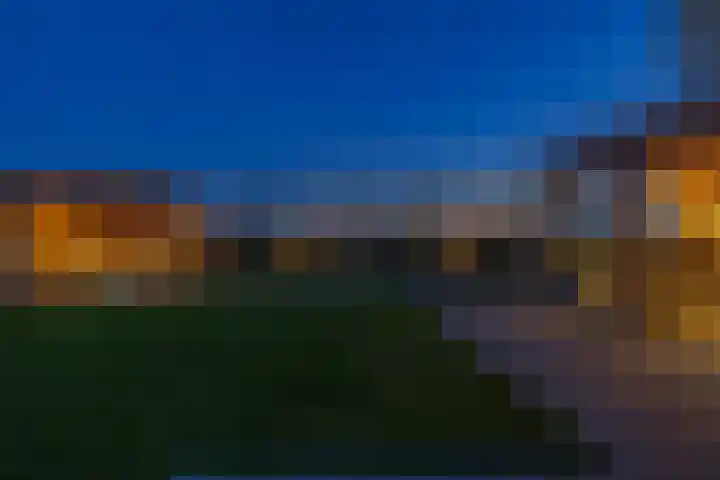 Heivlinder 2 Middelburg thumbnail 32