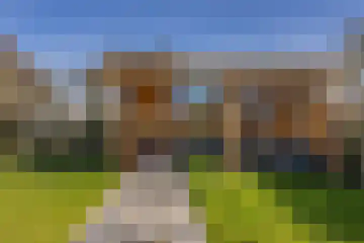 Heivlinder 2 Middelburg thumbnail 33