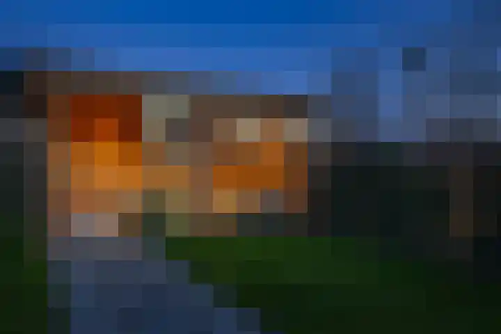 Heivlinder 2 Middelburg thumbnail 34
