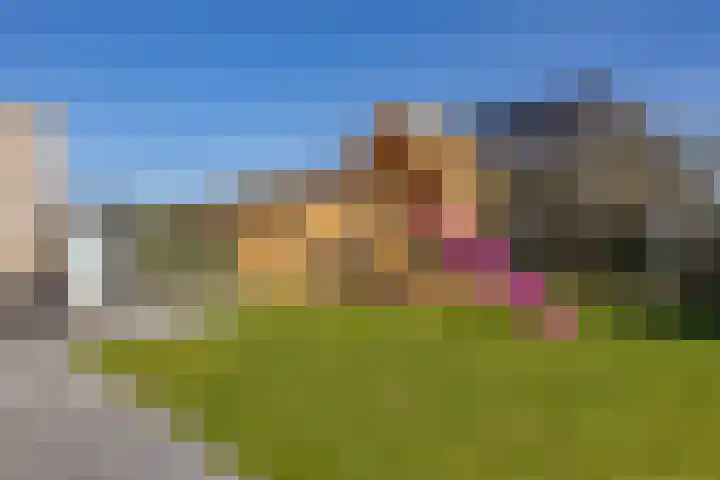 Heivlinder 2 Middelburg thumbnail 37