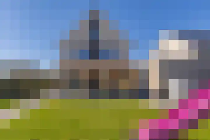 Heivlinder 2 Middelburg thumbnail 38