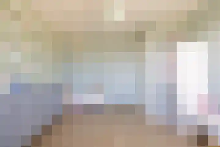 Heivlinder 2 Middelburg thumbnail 55