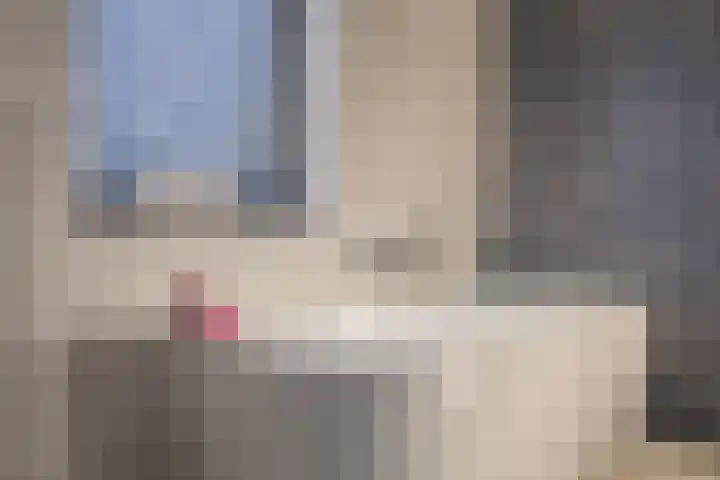 Heivlinder 2 Middelburg thumbnail 58