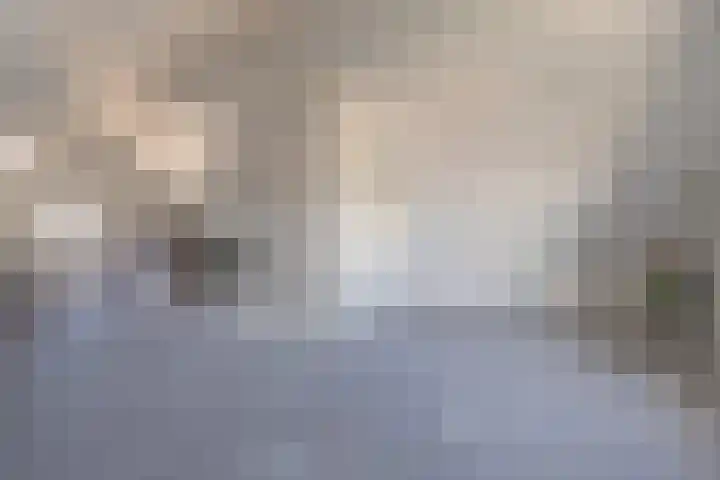 Heivlinder 2 Middelburg thumbnail 63