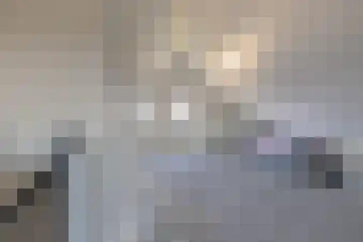 Heivlinder 2 Middelburg thumbnail 65