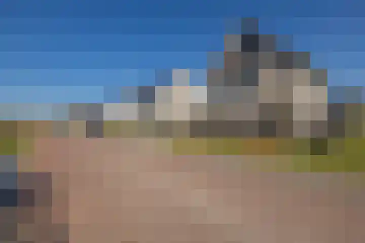 Heivlinder 2 Middelburg thumbnail 66