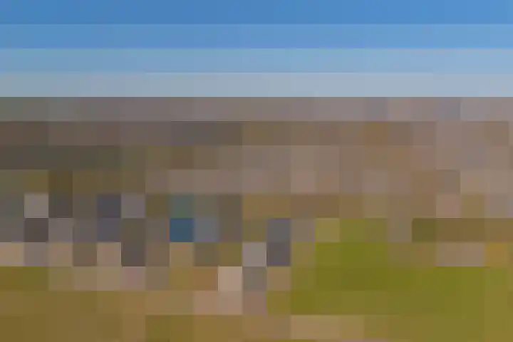 Heivlinder 2 Middelburg thumbnail 7