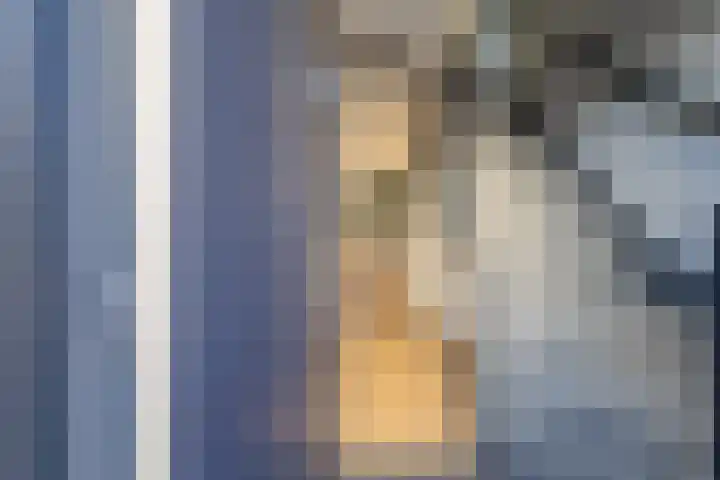 Heivlinder 2 Middelburg thumbnail 9
