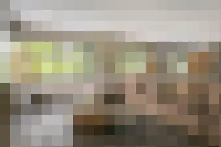 Heiweg 21 Rosmalen thumbnail 10