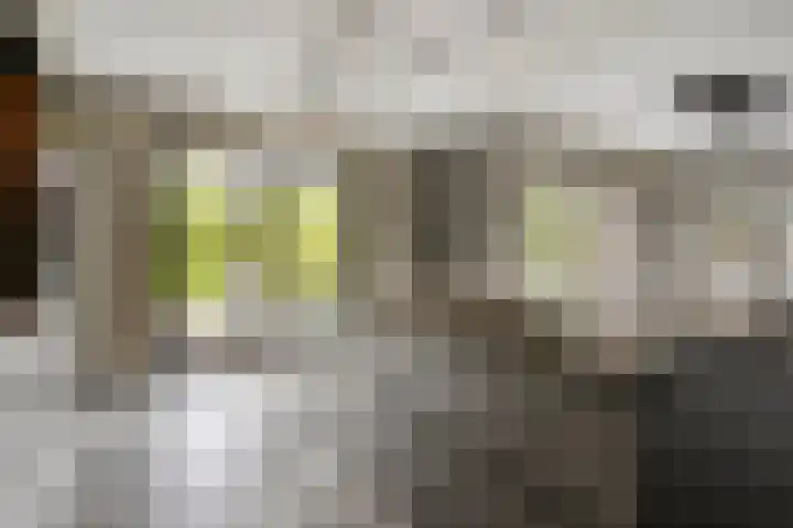 Heiweg 21 Rosmalen thumbnail 19