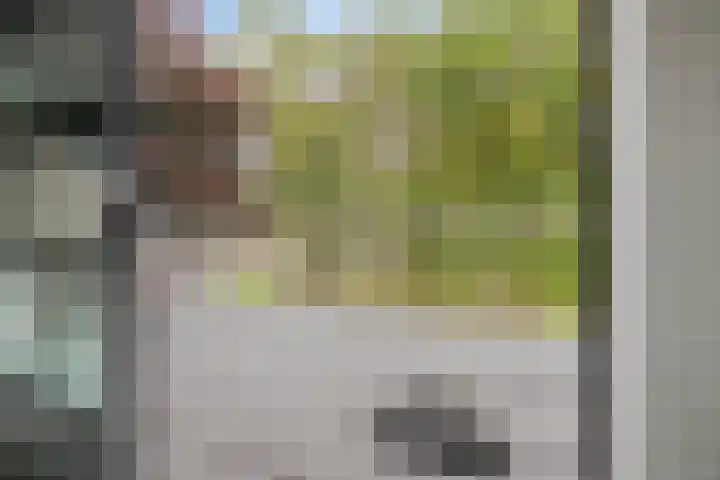 Heiweg 21 Rosmalen thumbnail 33