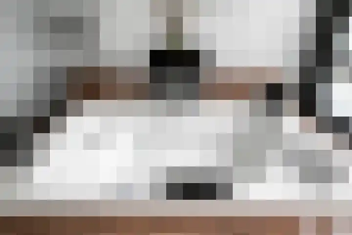 Heiweg 21 Rosmalen thumbnail 41