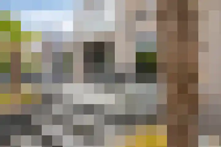 Heiweg 21 Rosmalen thumbnail 56