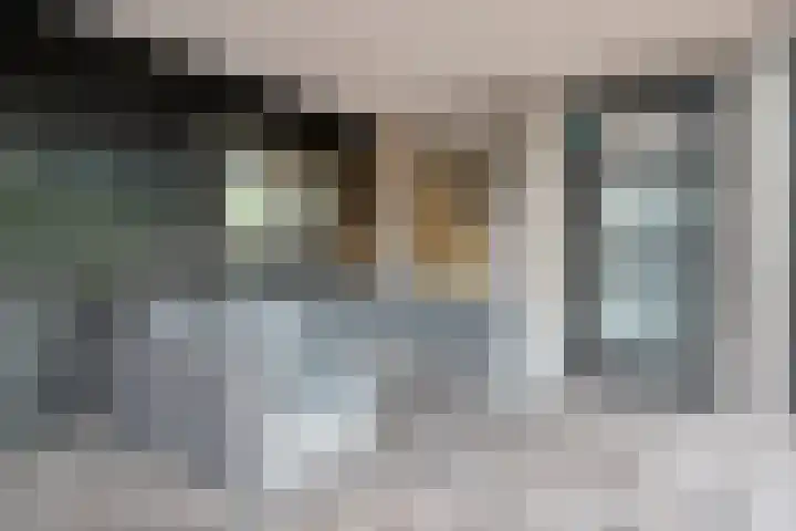 Heiweg 21 Rosmalen thumbnail 64