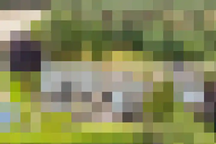 Heiweg 21 Rosmalen thumbnail 68