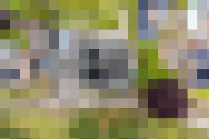 Heiweg 21 Rosmalen thumbnail 70