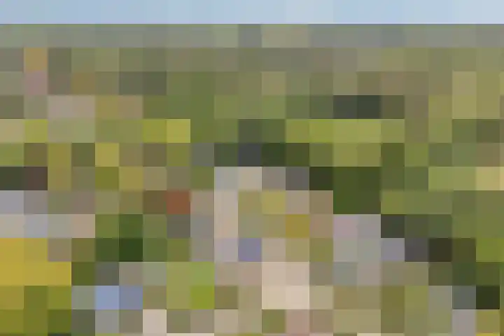 Heiweg 21 Rosmalen thumbnail 71