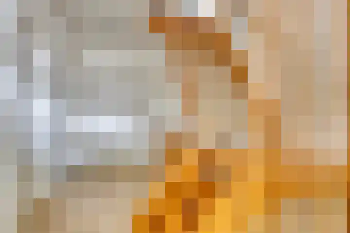 Heiweg 6 Nuland thumbnail 33