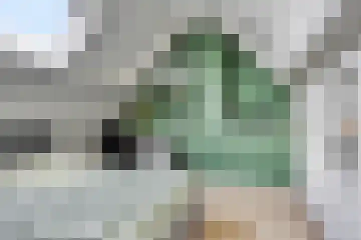 Heiweg 6 Nuland thumbnail 36