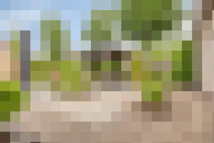 Heiweg 6 Nuland thumbnail 43