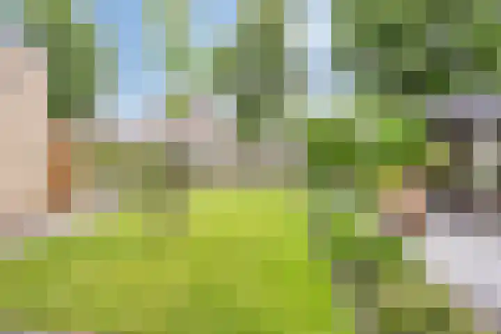 Heiweg 6 Nuland thumbnail 44